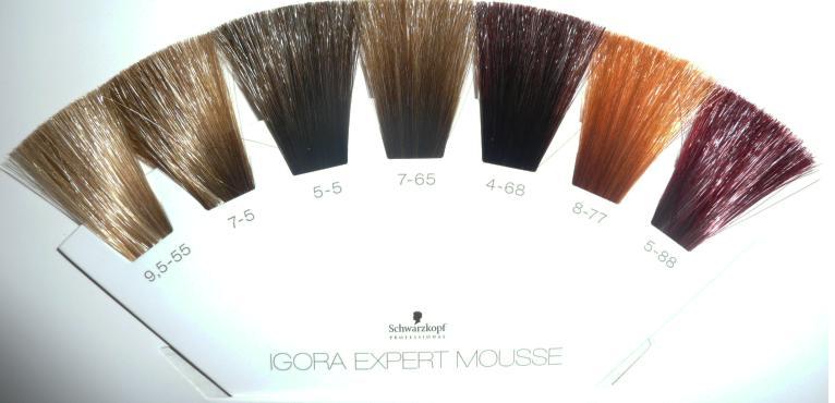 Schwarzkopf Igora Expert Mousse Coloración Mousse Semi Permanente 5 0 Castaño Claro 100ml 4994